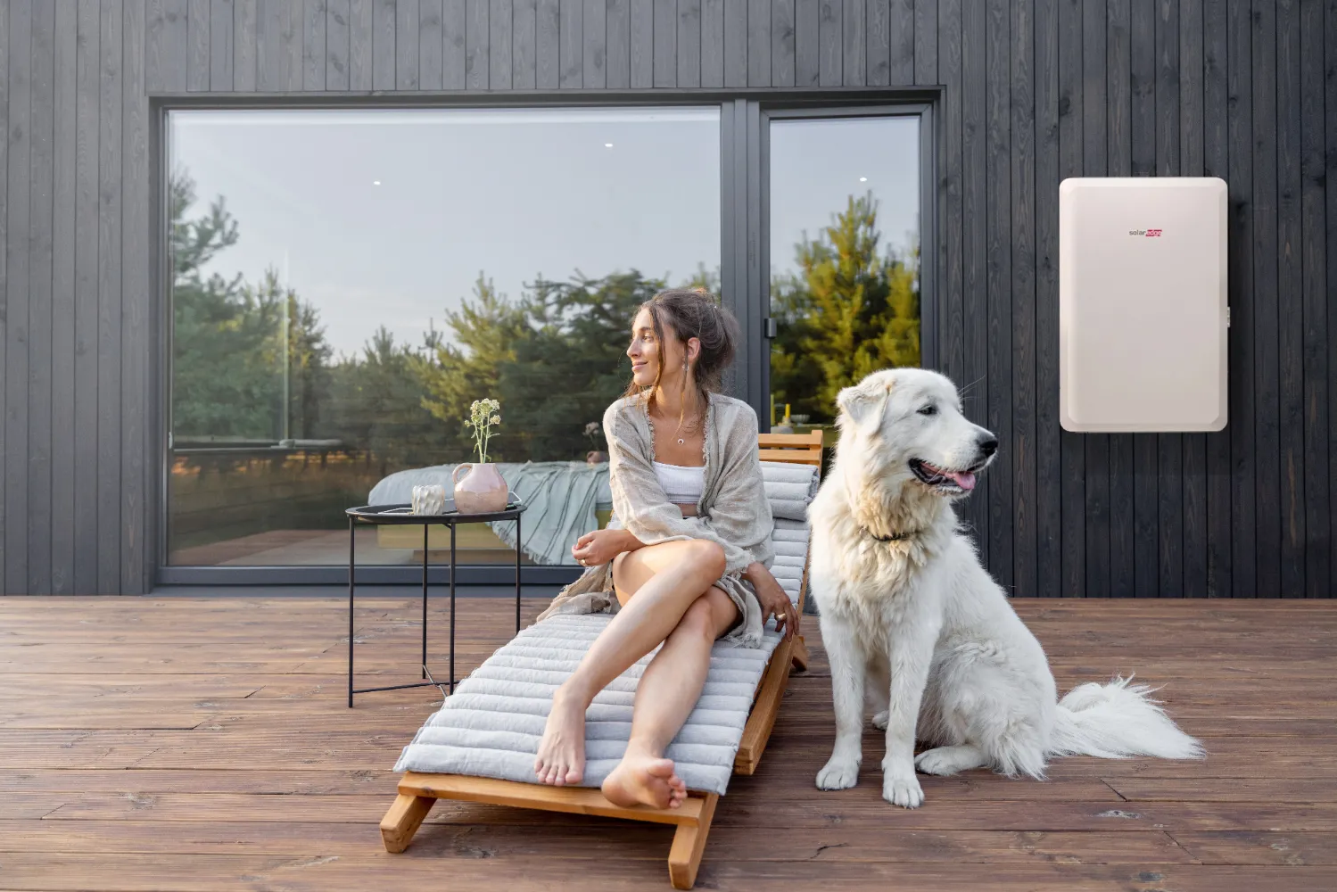 Seamless With SolarEdge Inverters